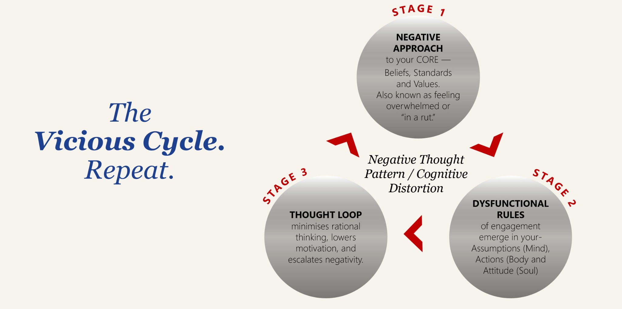 The Vicious Cycle slide